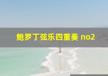 鲍罗丁弦乐四重奏 no2